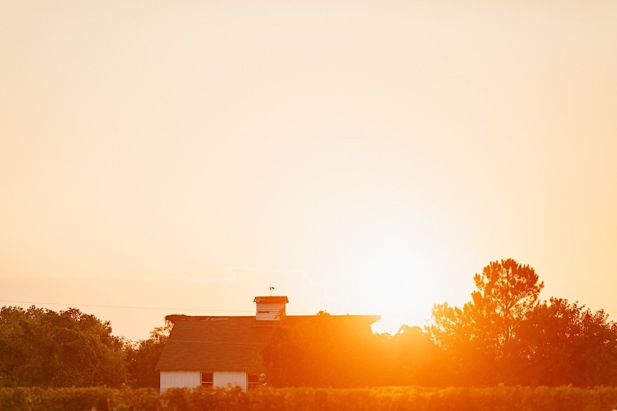 080_cascia-vineyard-winery-kent-island-chesapeake-wedding-photographer-maryland-168.jpg