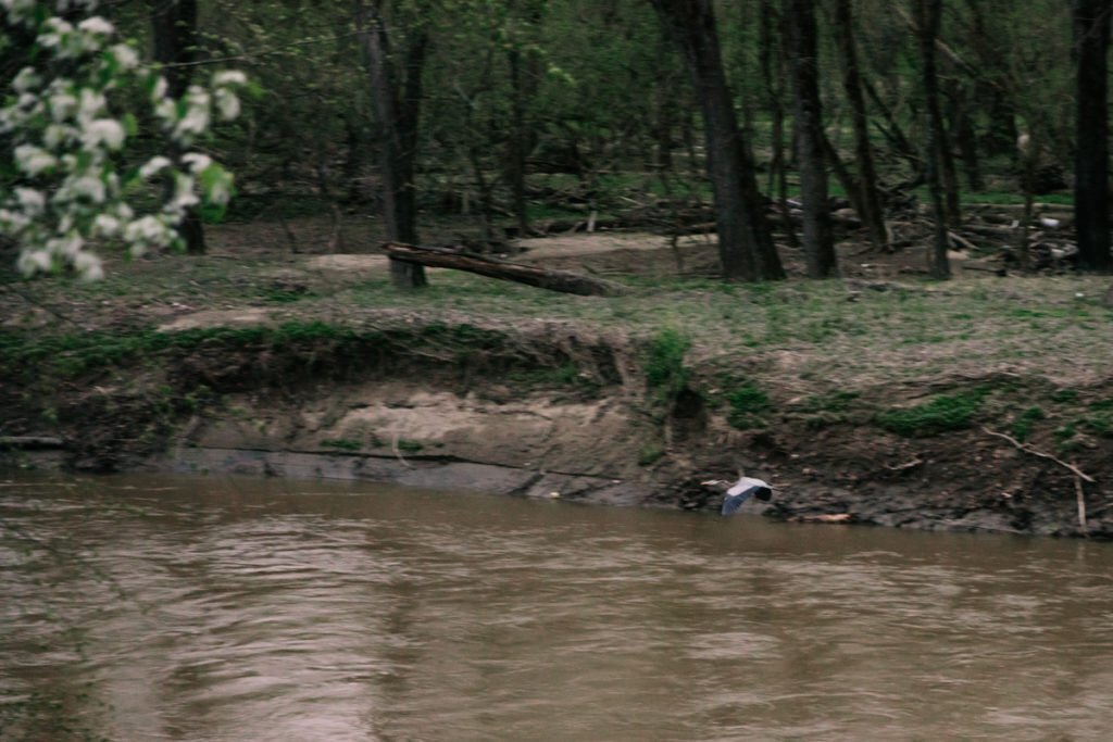 patapsco-state-park-baltimore-maryland-forest-engagement-photos-36-1024x683.jpg