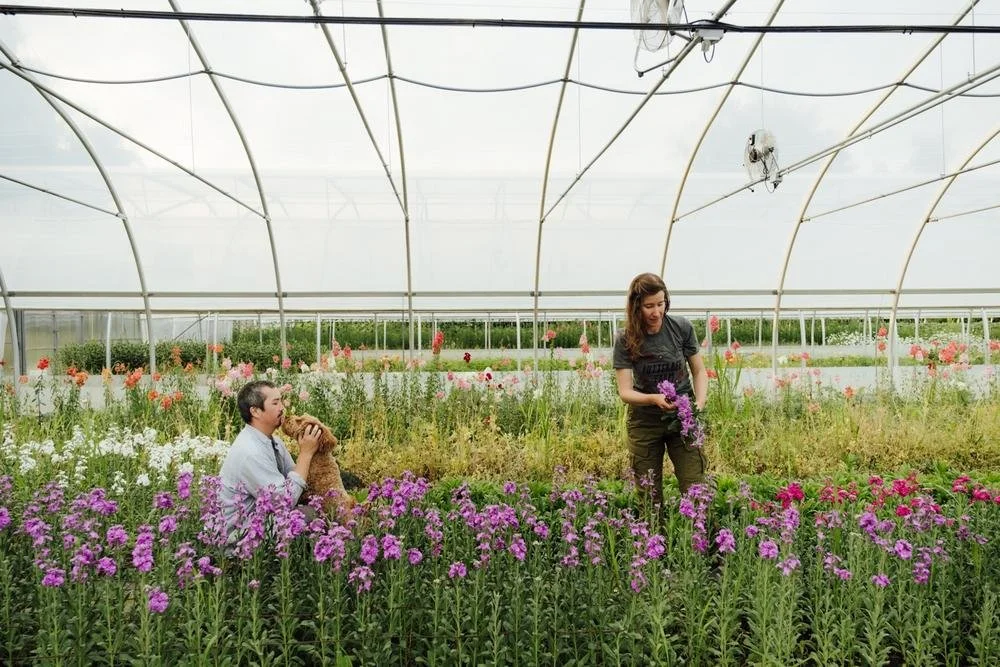 Tips For Your Business’s Branding Photos