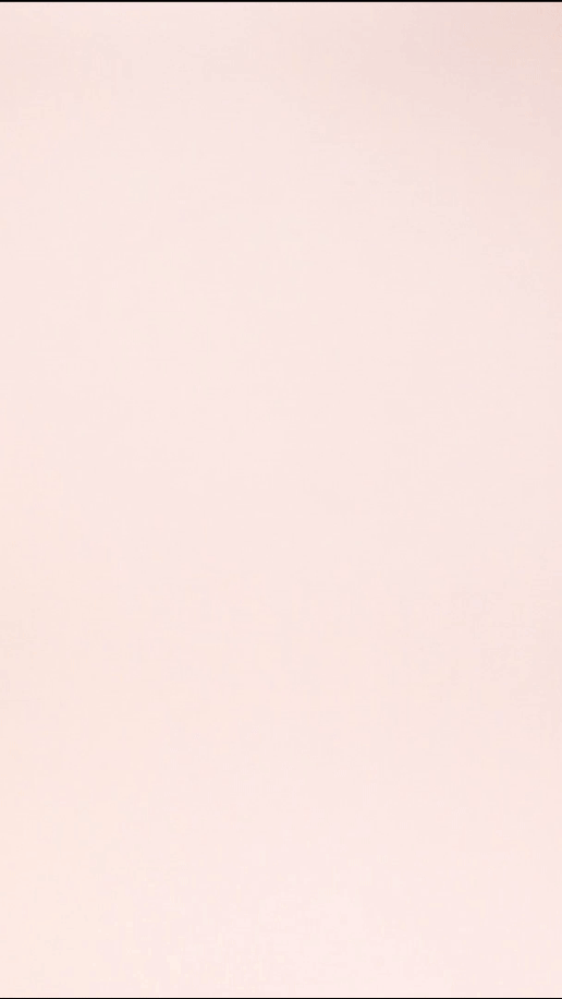 Lovebird Logo Burst Stopmotion.gif