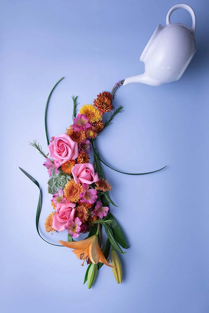 Week 5 Terisha Theisen A.jpg