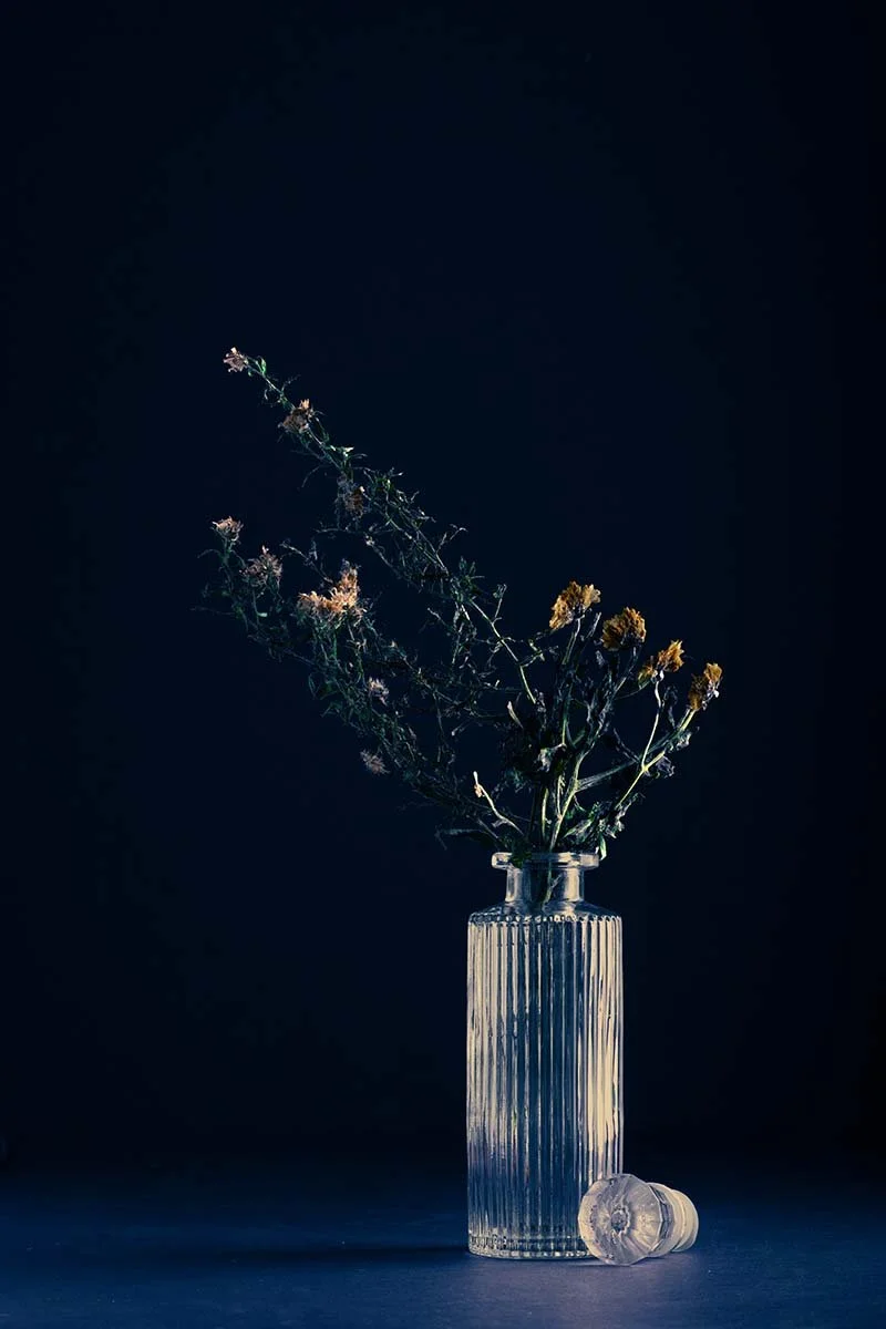 Terisha Theisen Week 3 A.jpg