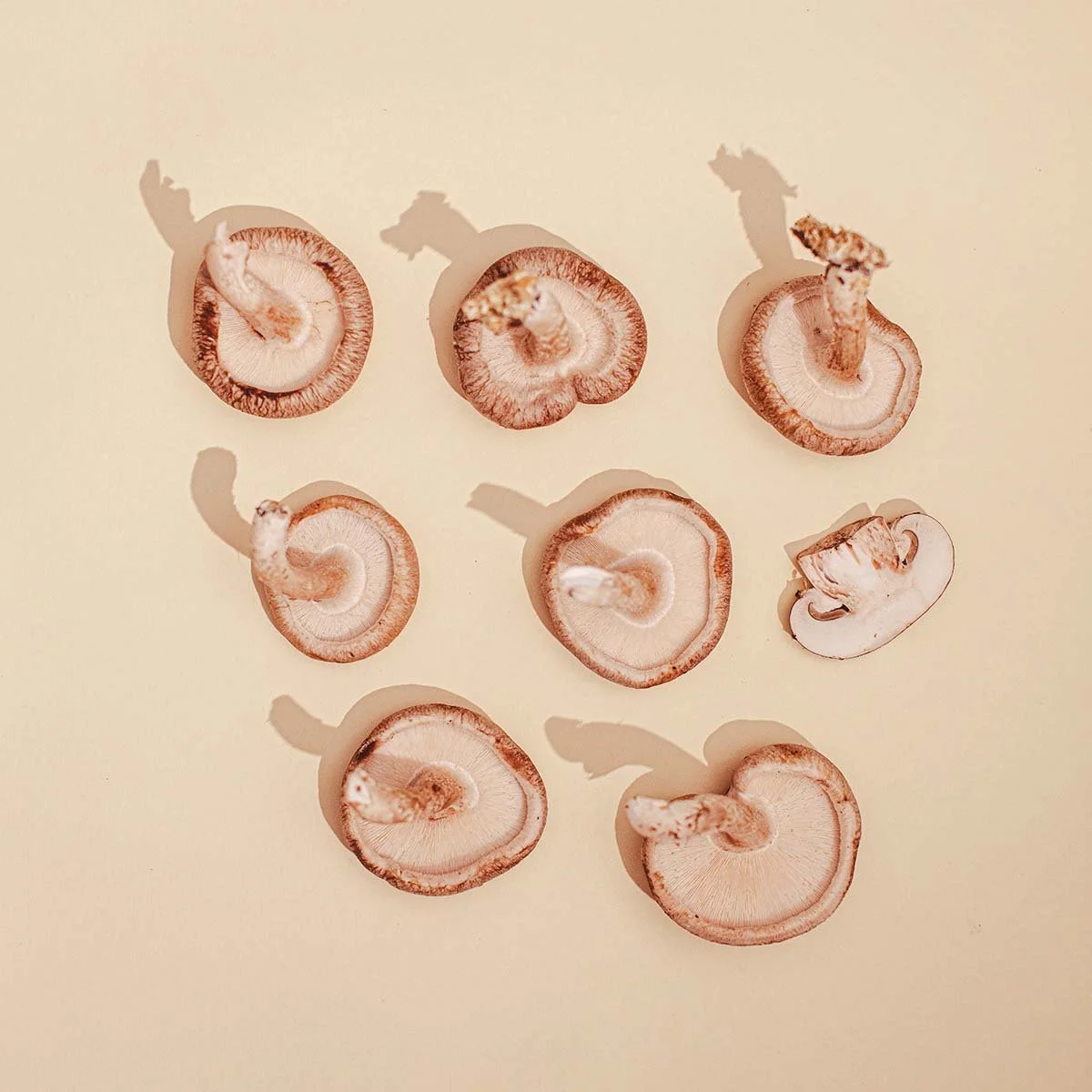 Terisha Theisen Week 2 A.jpg