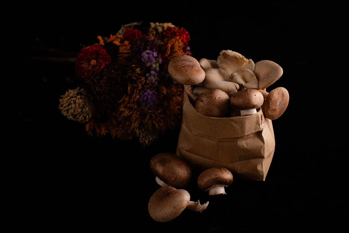 Terisha Theisen Week 2 C.jpg