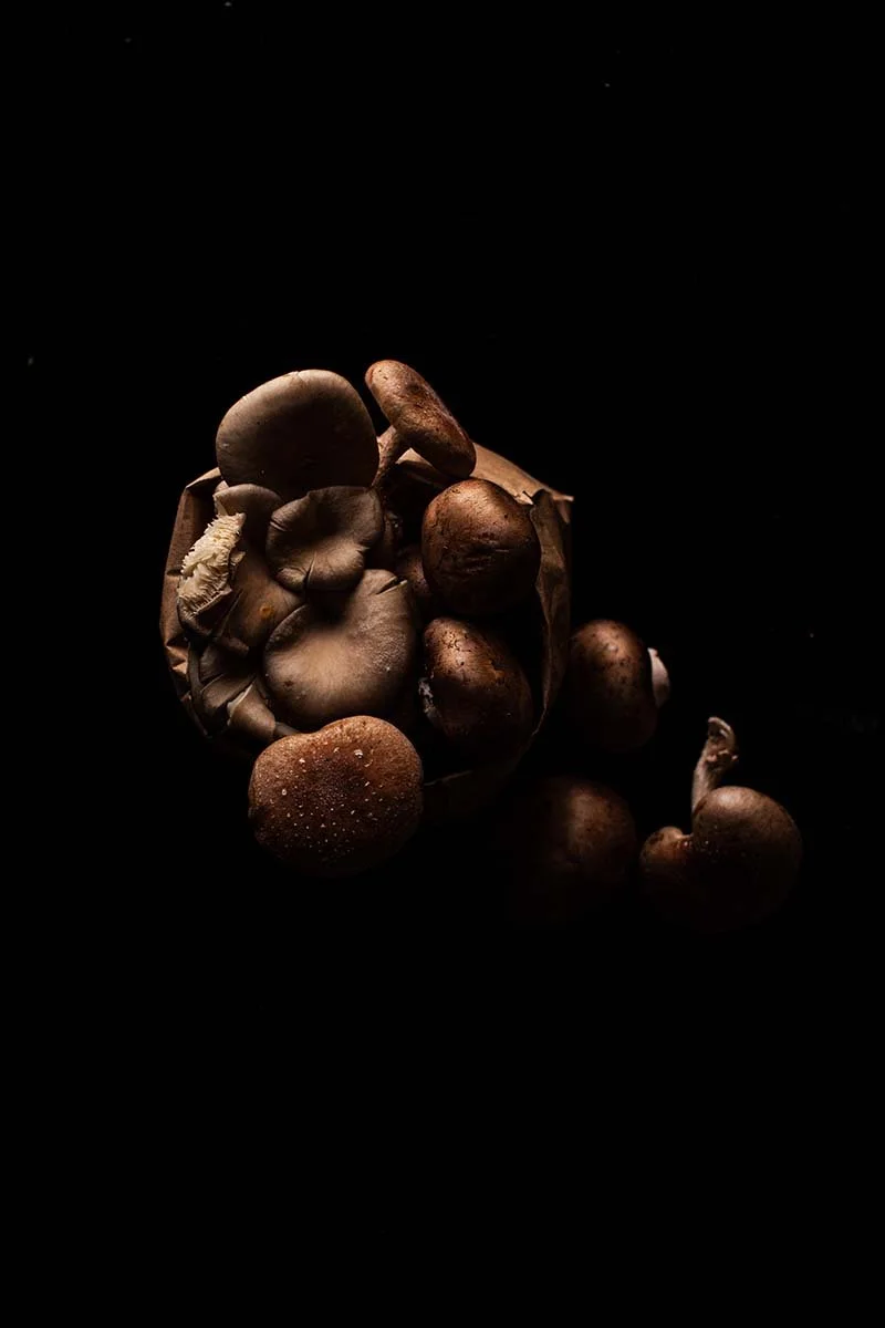 Terisha Theisen Week 2 D.jpg