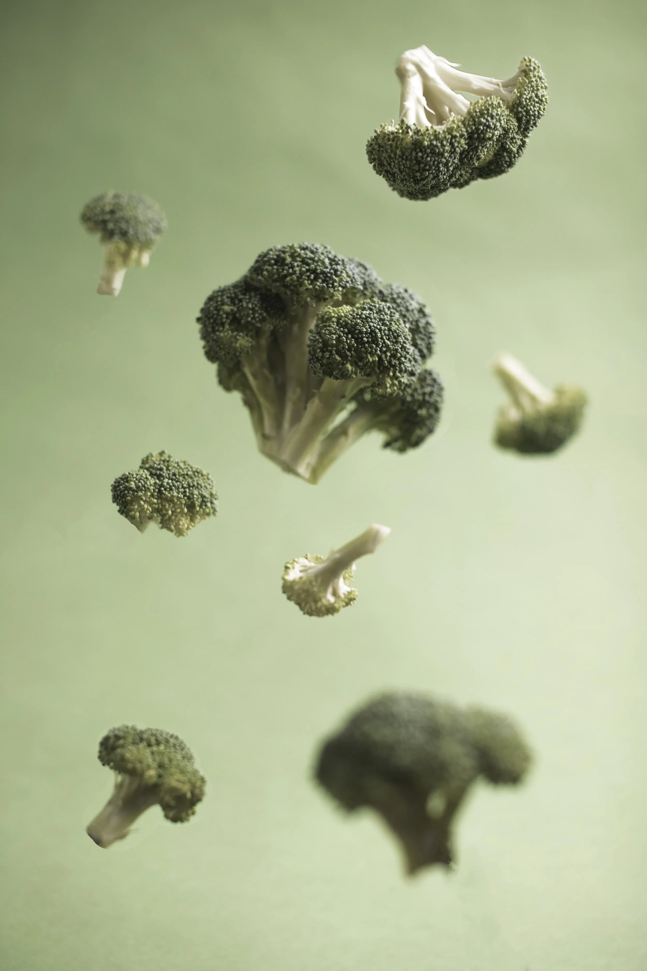 Terisha Theisen 1a.jpg