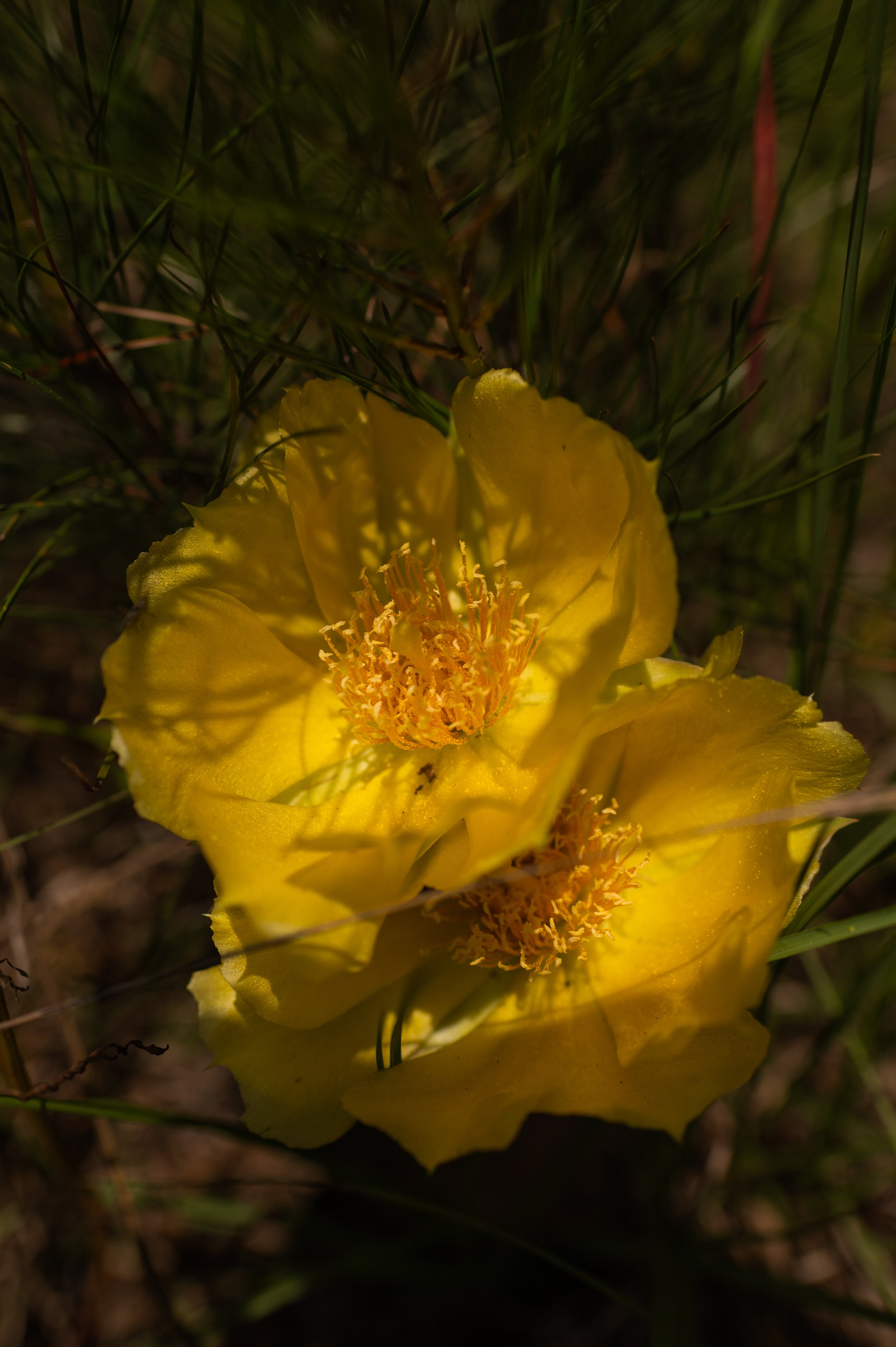 OMA-stephencook-137.jpg