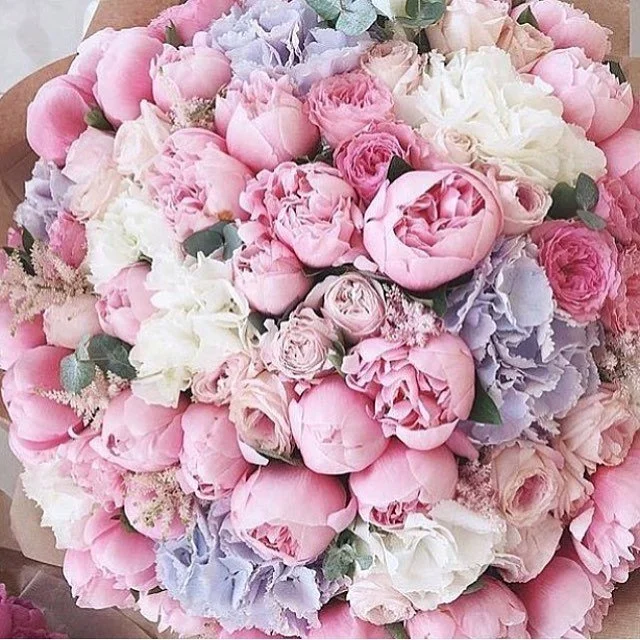 Aren't these beautiful ? #HappyWednesday 🌺🌸🌺