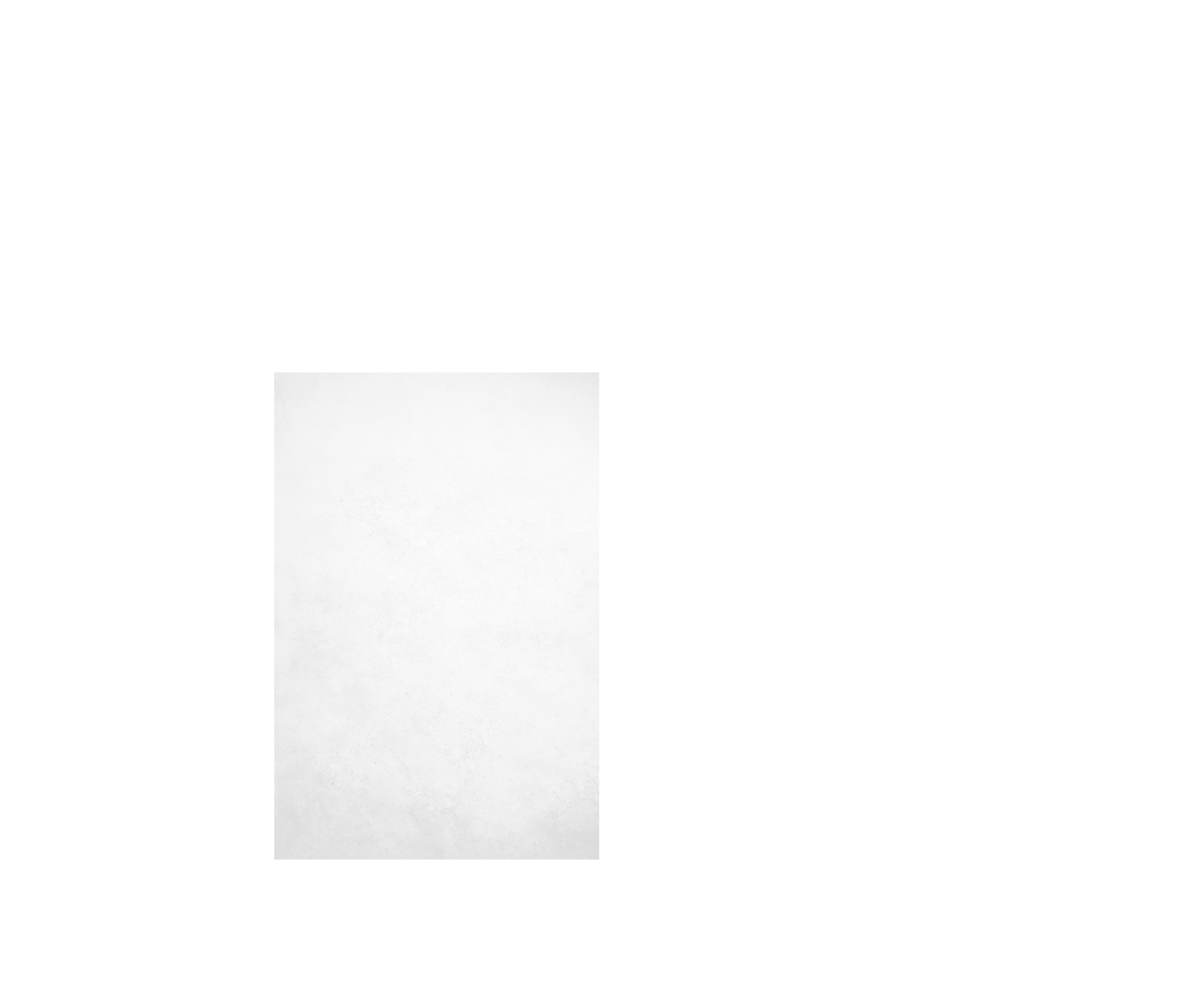 bluebird_about_mid_banner-22.png