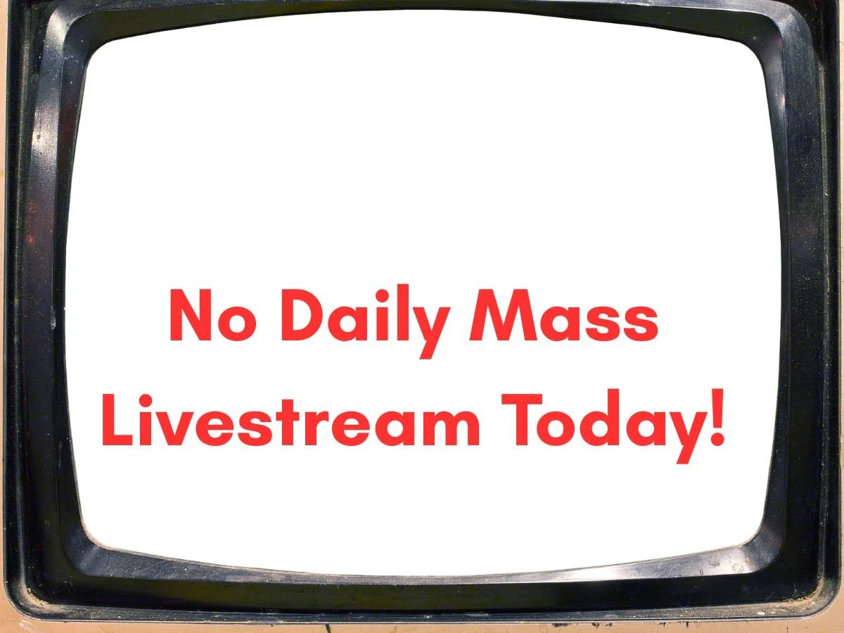 No Daily Mass Livestream Today