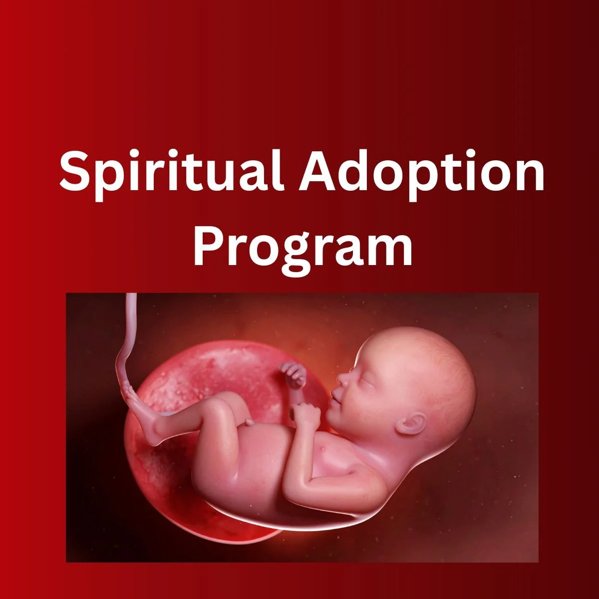 Spiritually Adopt a Baby This Month