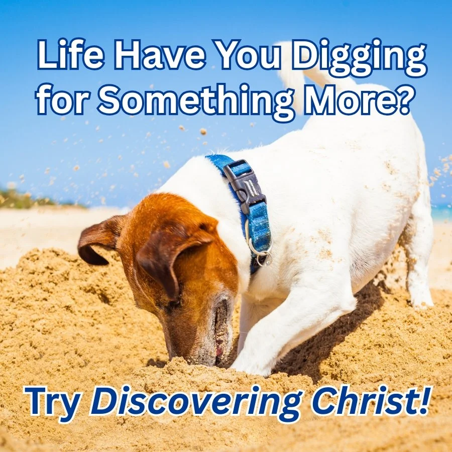 Discovering Christ - Registration Now Open