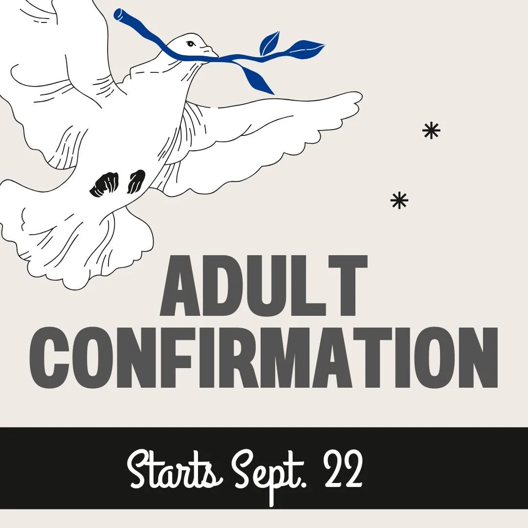 Adult Group Confirmation
