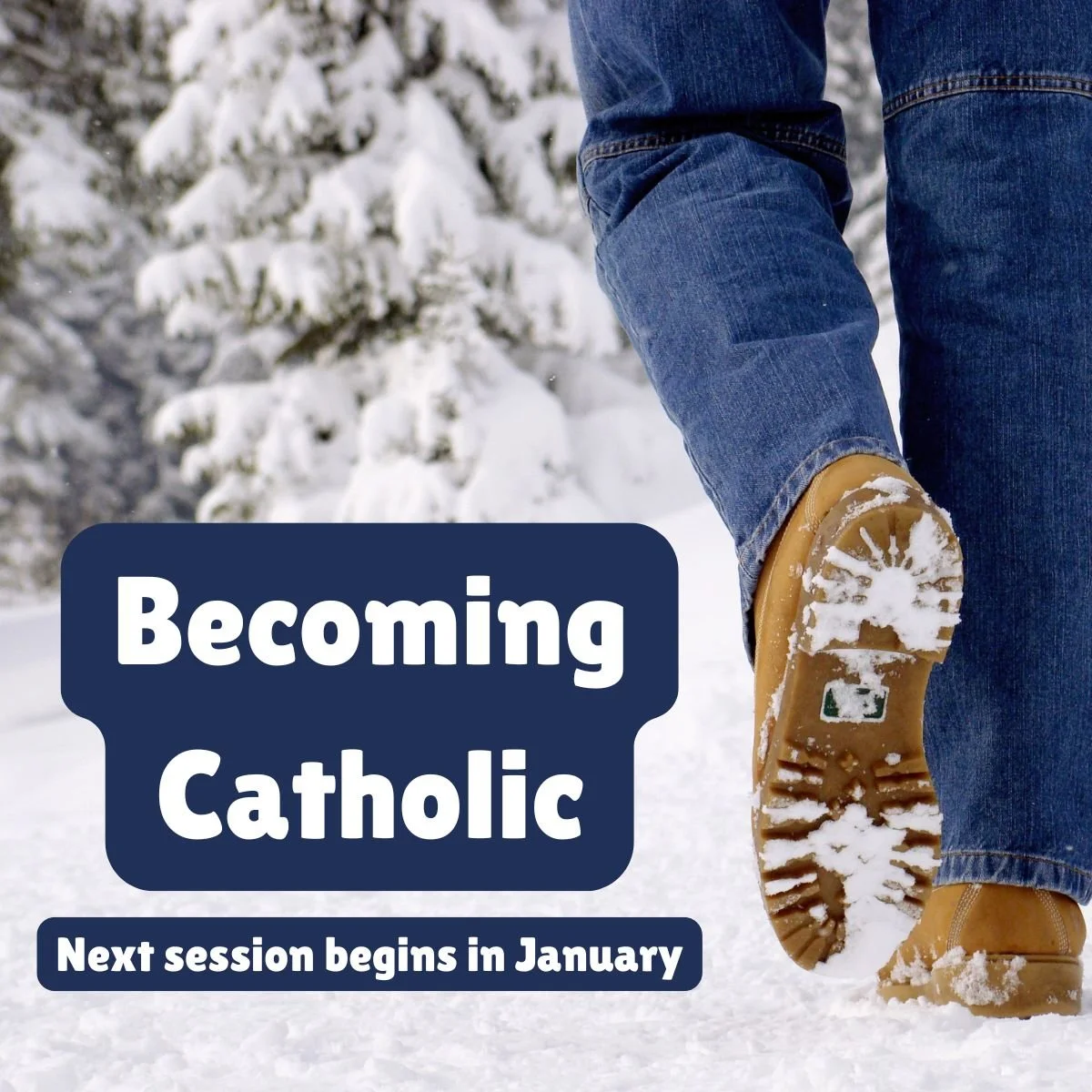 Interested in Becoming Catholic?