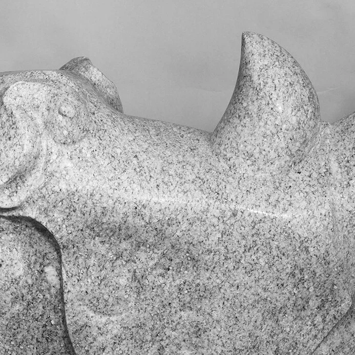 Rhino