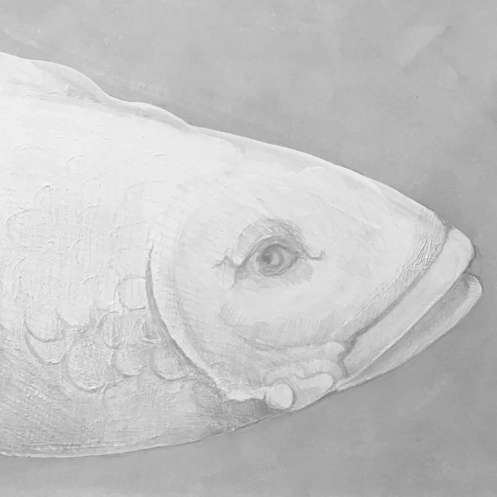 Fish with Human Eye