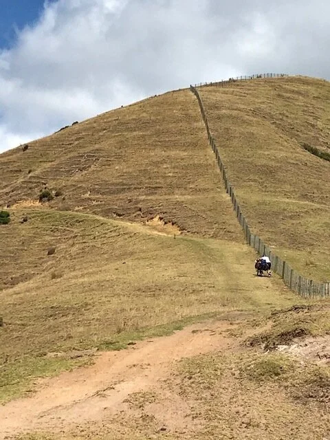 La Péninsule de Coromandel : entre merveilles naturelles et humaines