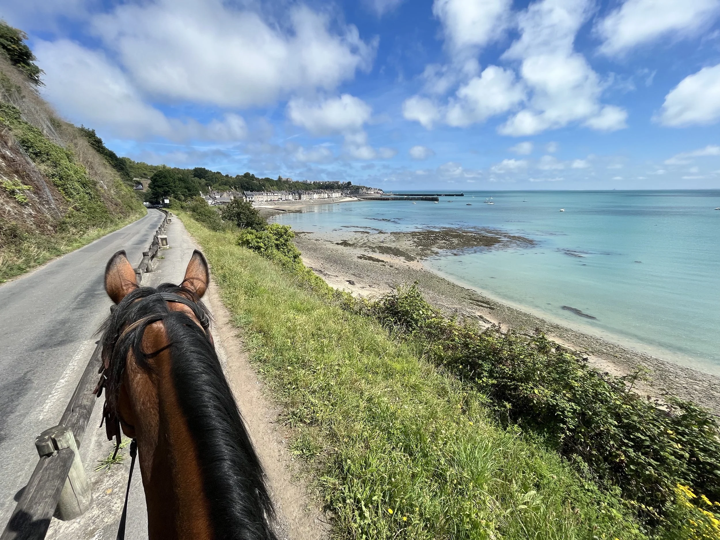 Un air de mer pour nous chevaux des terres