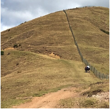 Un chemin descendant une colline avec un homme à cheval à proximité d'une clôture en bois.