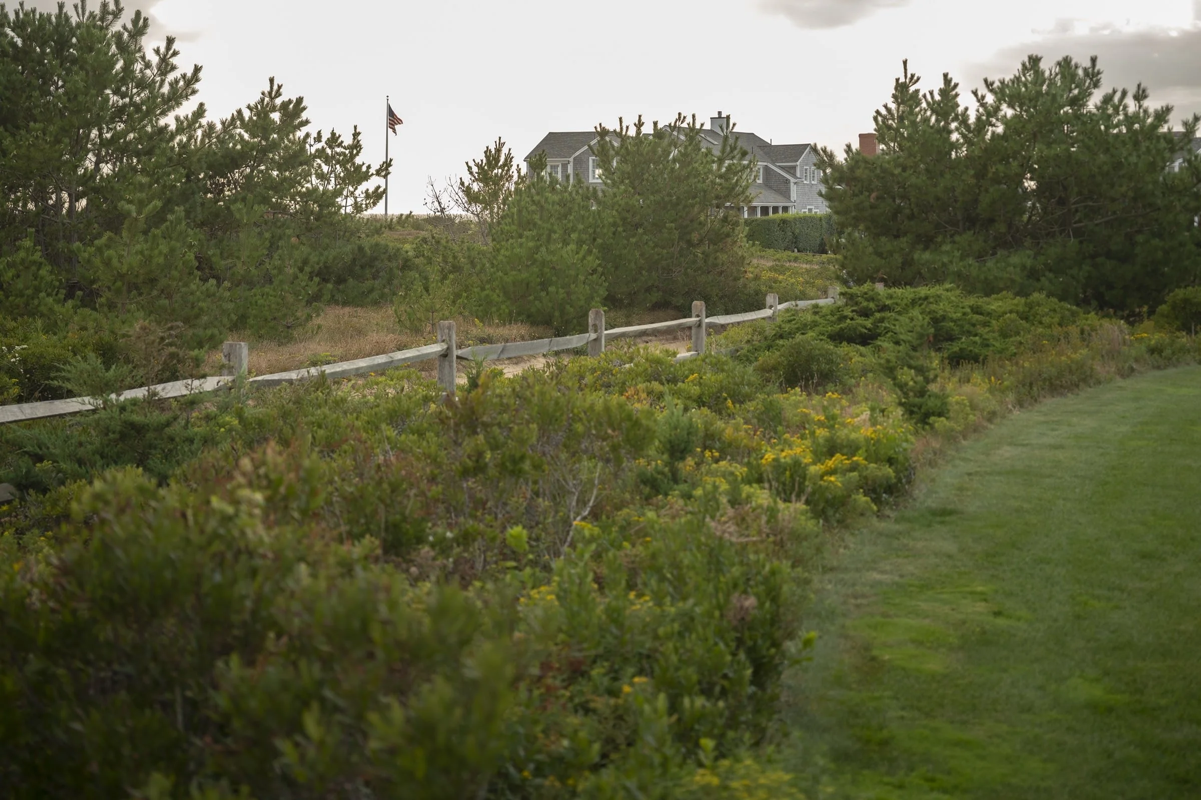 A house with a gray exterior and gabled roof is visible behind trees and bushes, with an American flag on a pole nearby. The scene includes a wooden fence and a grassy pathway.