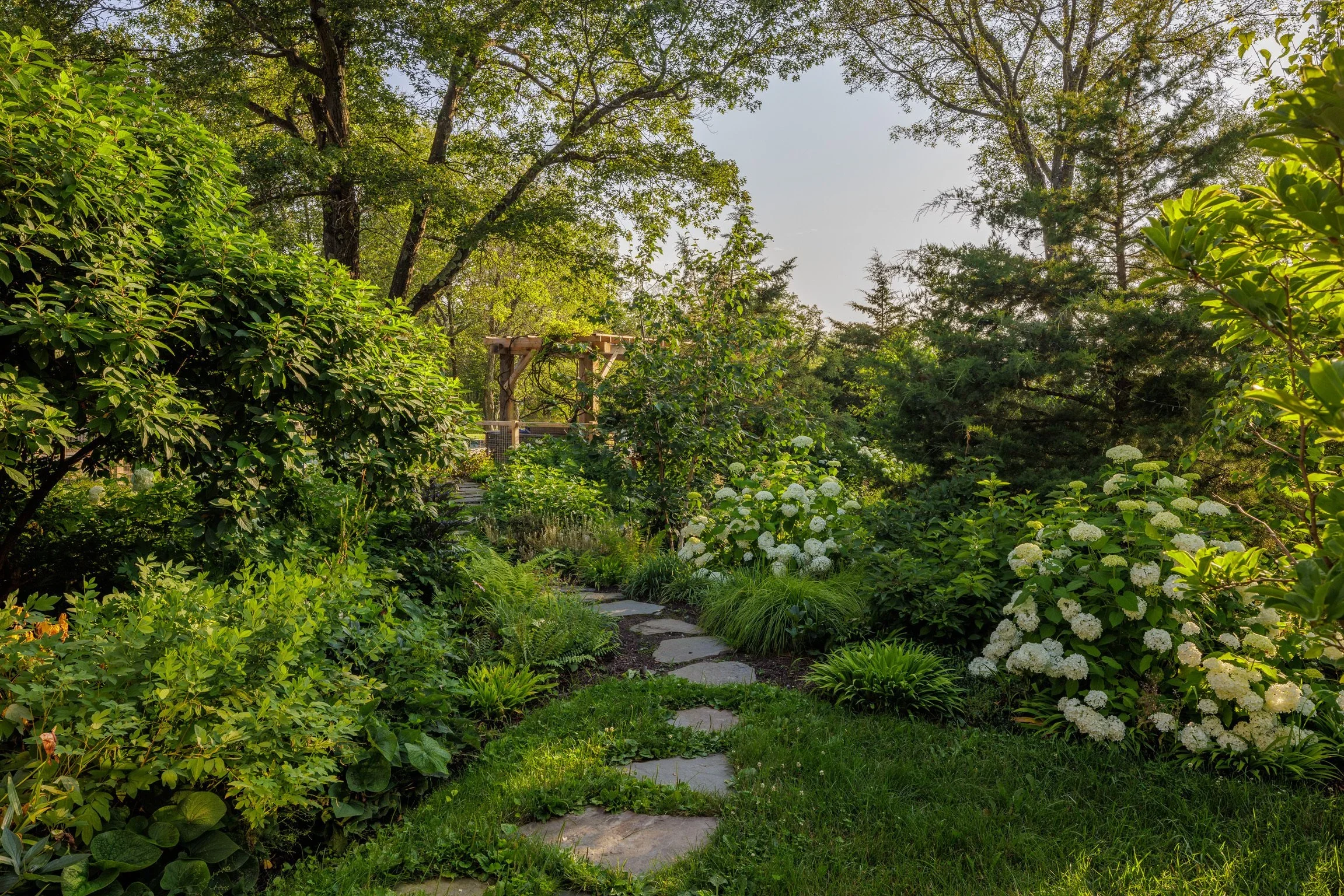 A lush garden with a stone pathway surrounded by green bushes and flowering plants, tall trees providing shade, and a wooden structure visible in the background.