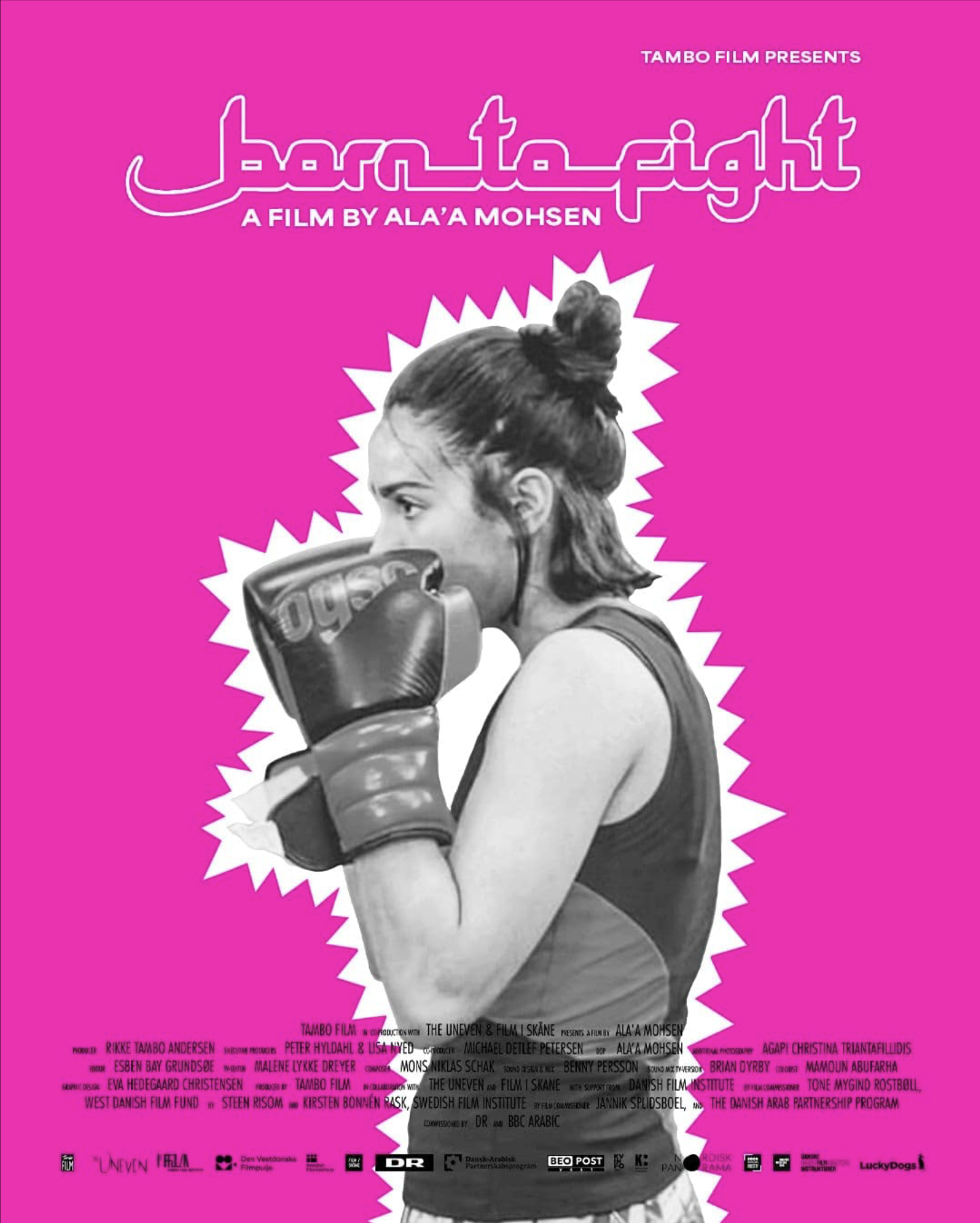 Pasted Graphic 2.png