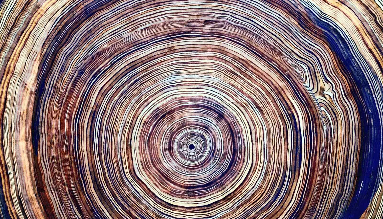 tree ring.jpg