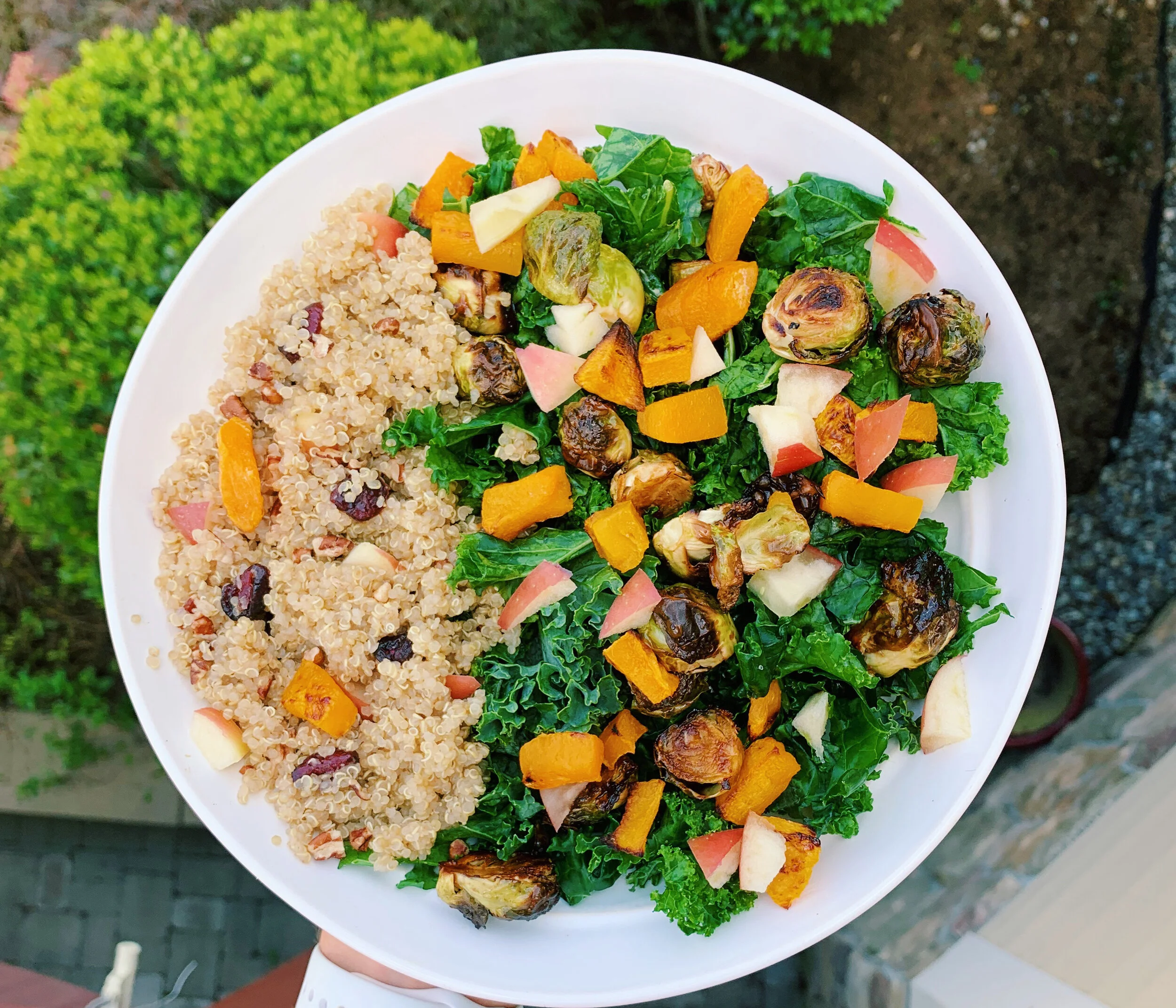 Quinoa-Kale Harvest Salad