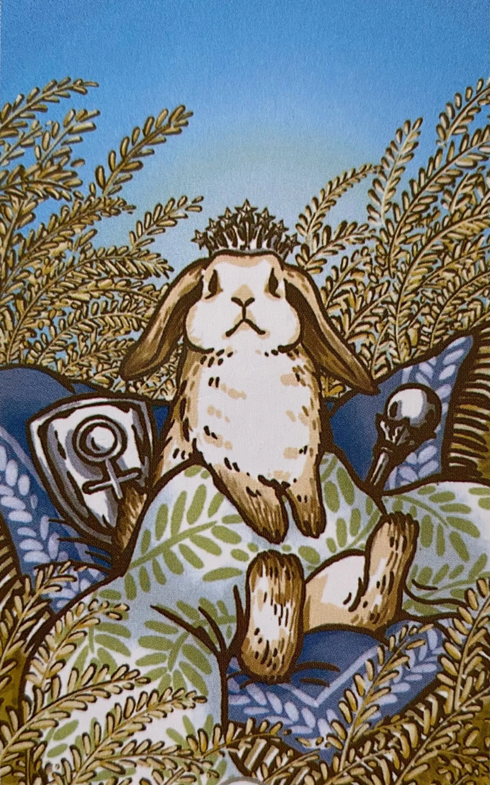 E2255599-2EA5-4AFA-8907-60E20A6C55B4