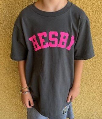 Heather Gray Hesby T-Shirt with Neon Pink Lettering — Hesby Oaks Leadership  Charter - HIP