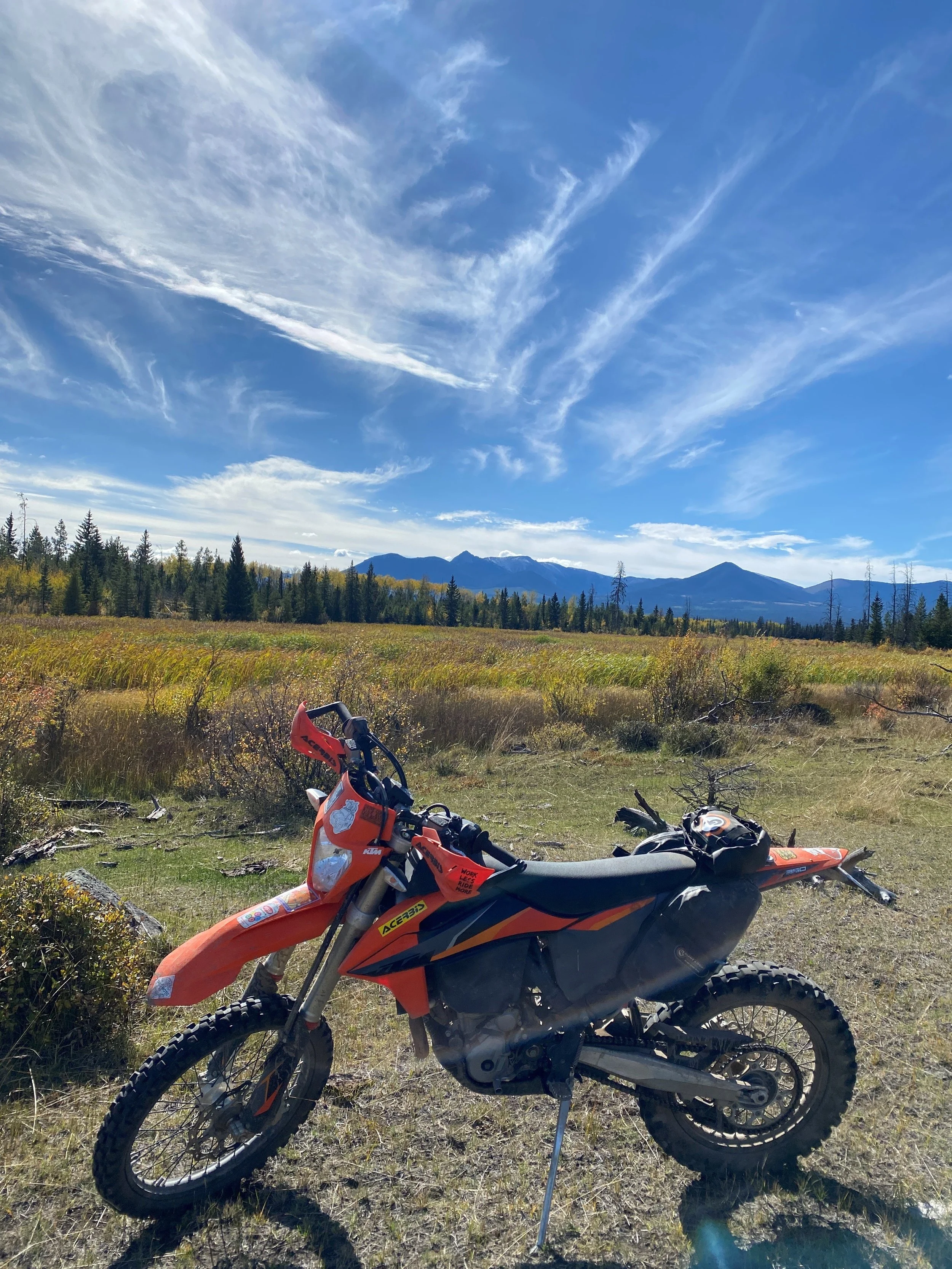 moto1.jpg