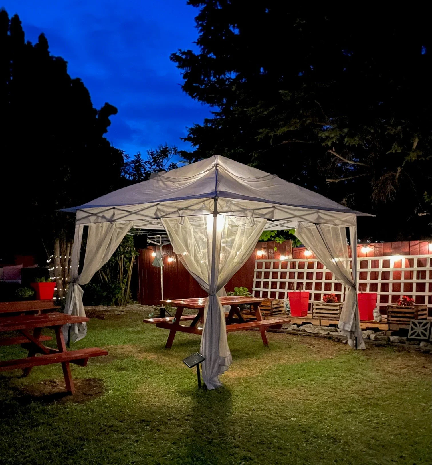 backyard.jpg