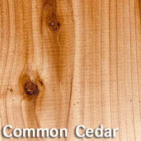 Common Cedar.jpg