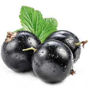Blackcurrant-Seed-Oil.jpg