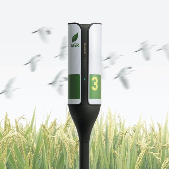 pp_elab_sensor_a_01.jpg