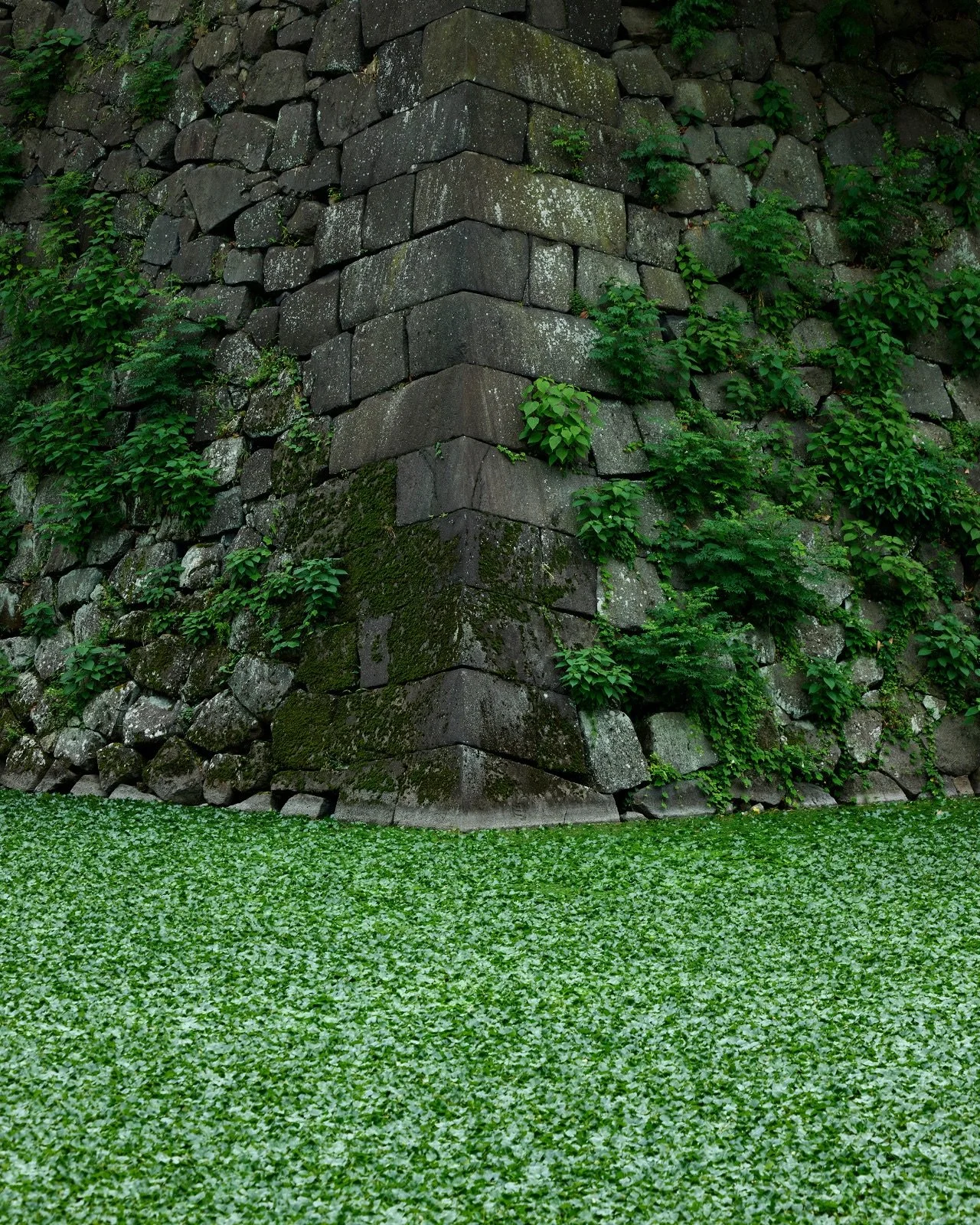 Rooted in the heart of Tokyo, INDIGO DESIGN is interwoven with its surroundings: nature and the city, past and present in harmony, the future breathing through people, dreams rising from the stars. A way of feeling. A way of designing.

 
___________