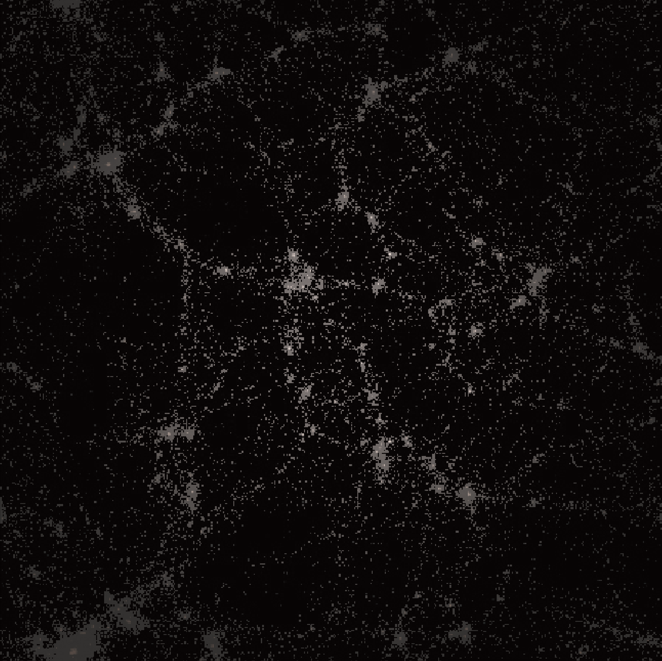 img_void_1c_03.png