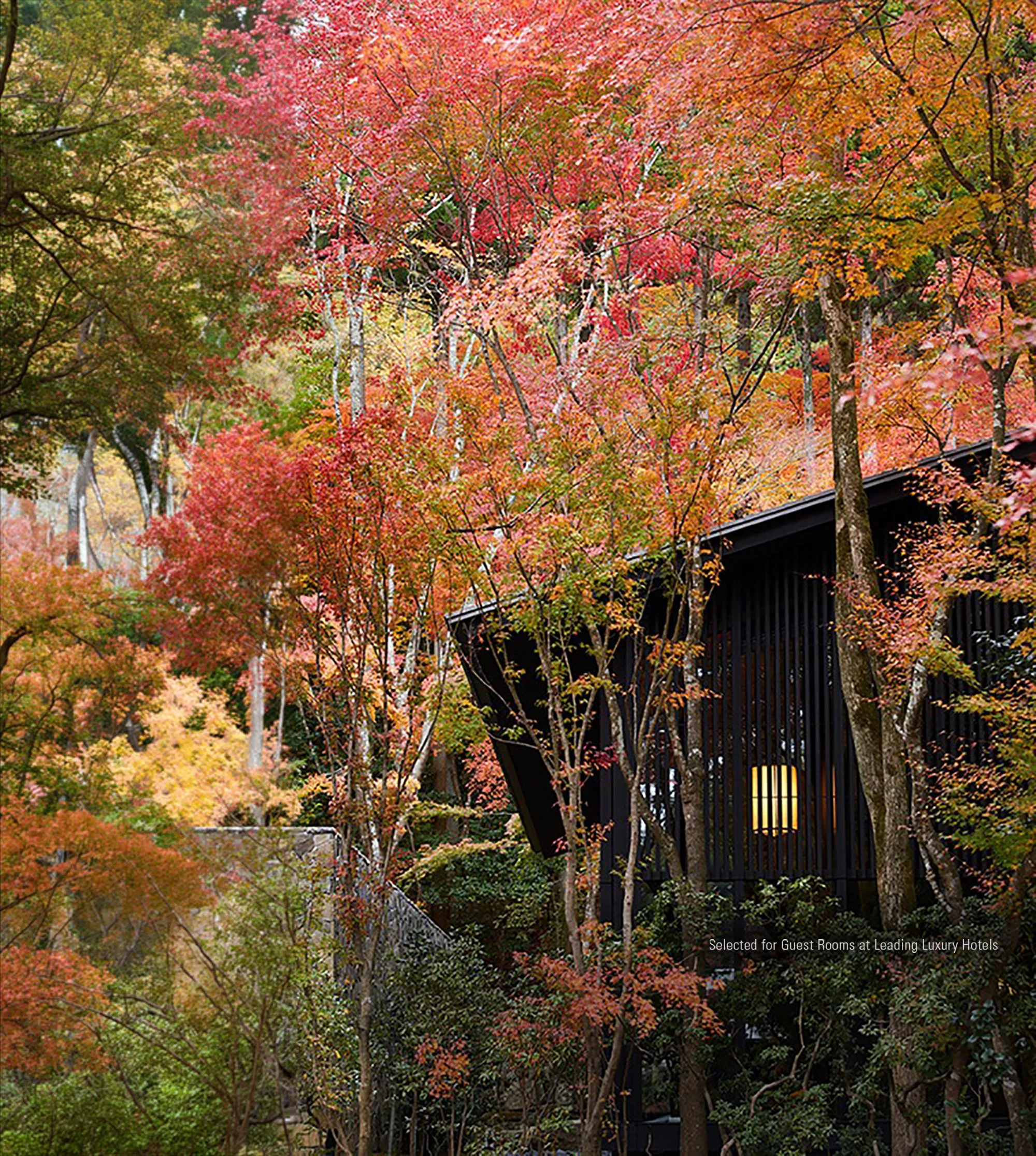 img_hotel_autumn_A_08.jpg