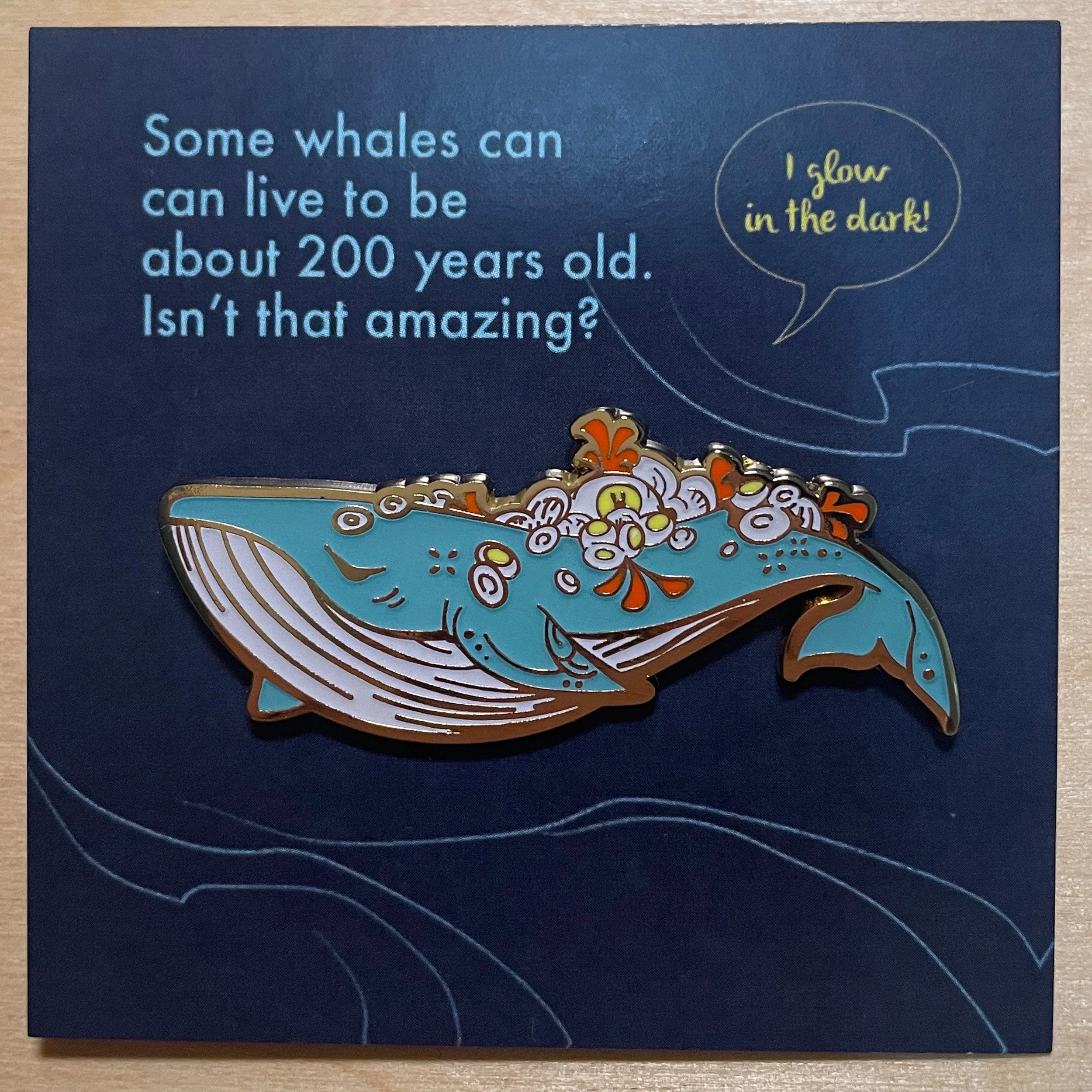 AS1004-SPWhale-D.jpg