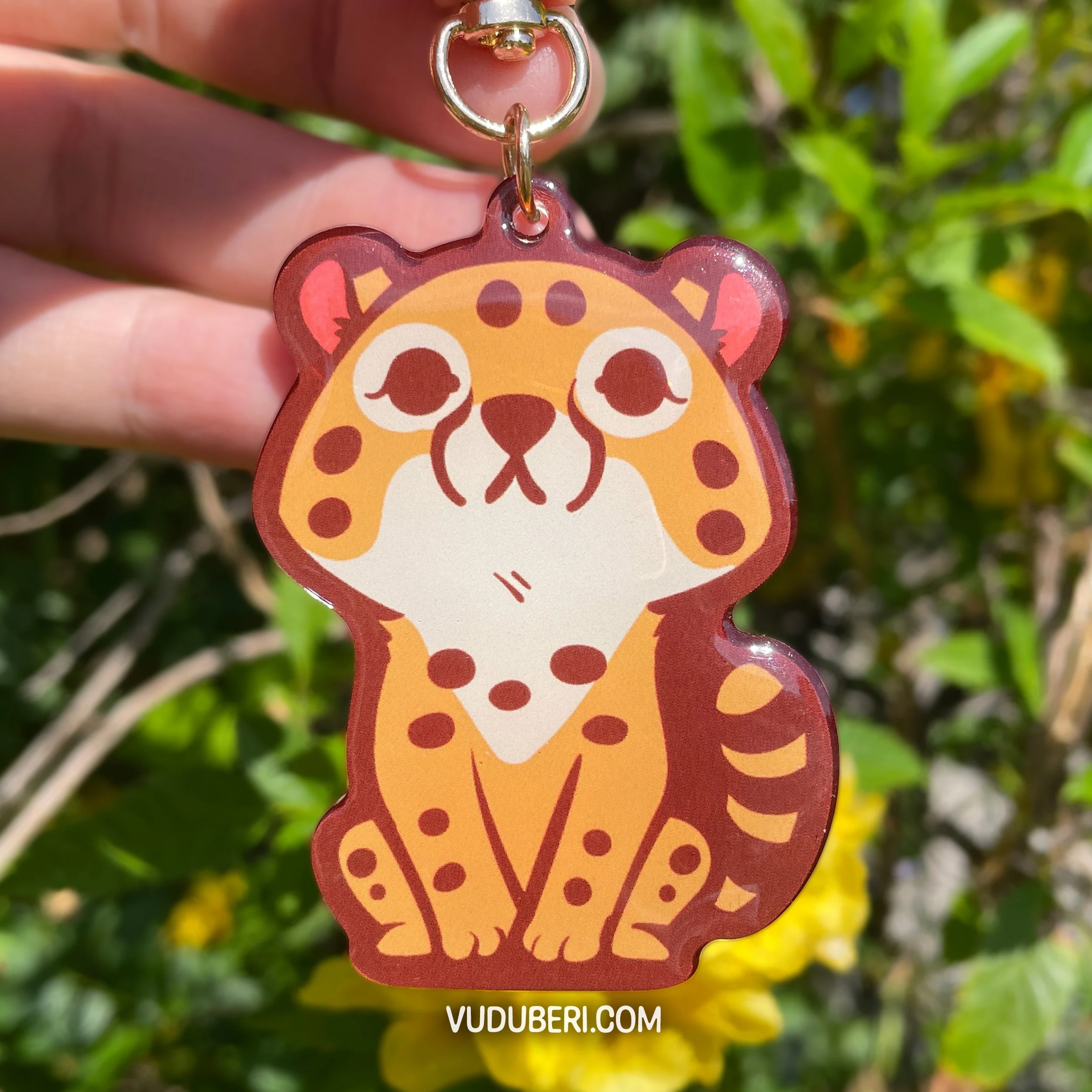 KA1001-Cheetah-A.jpg