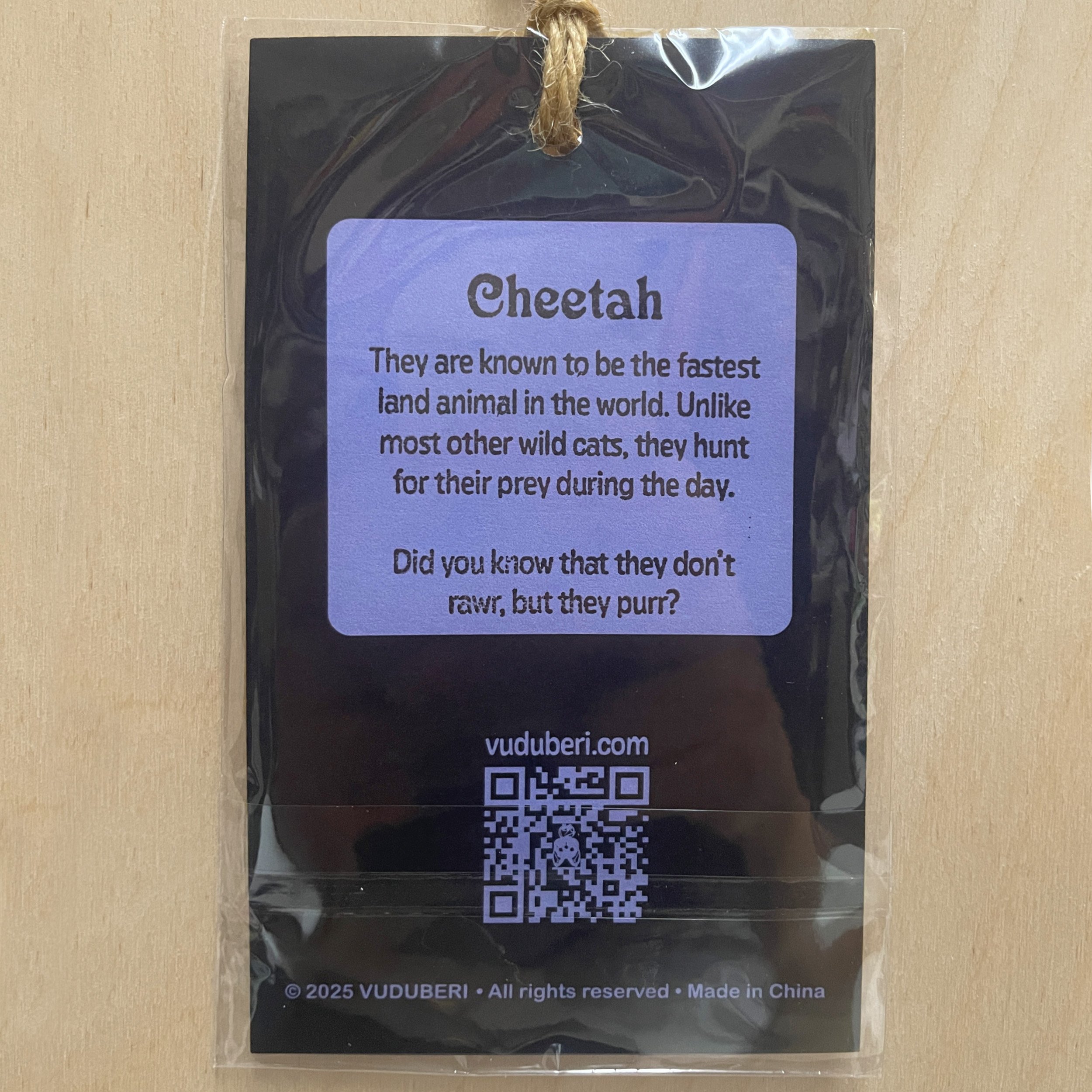 KA1001-Cheetah-E.jpg