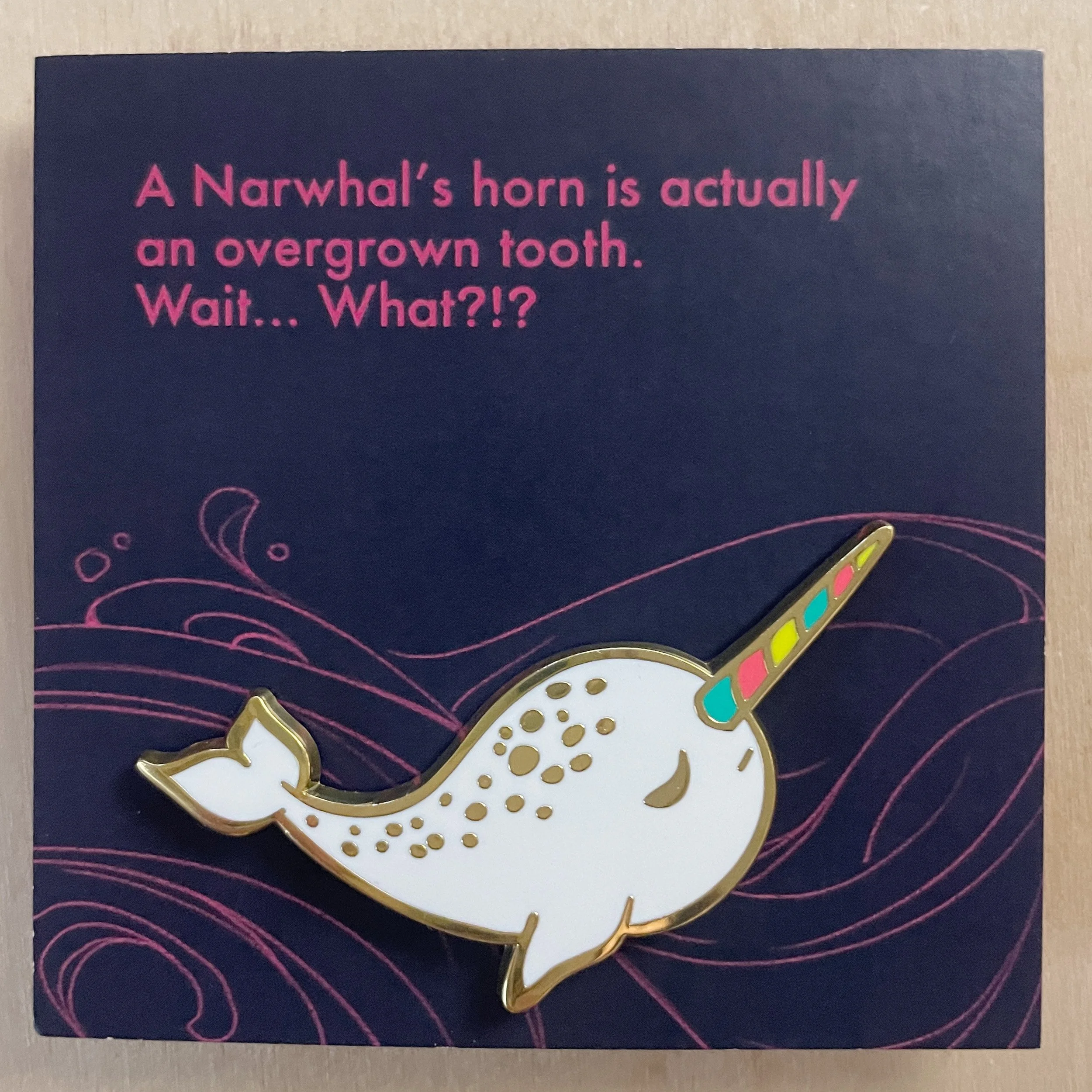 PA1006-Narwhal-B .jpg