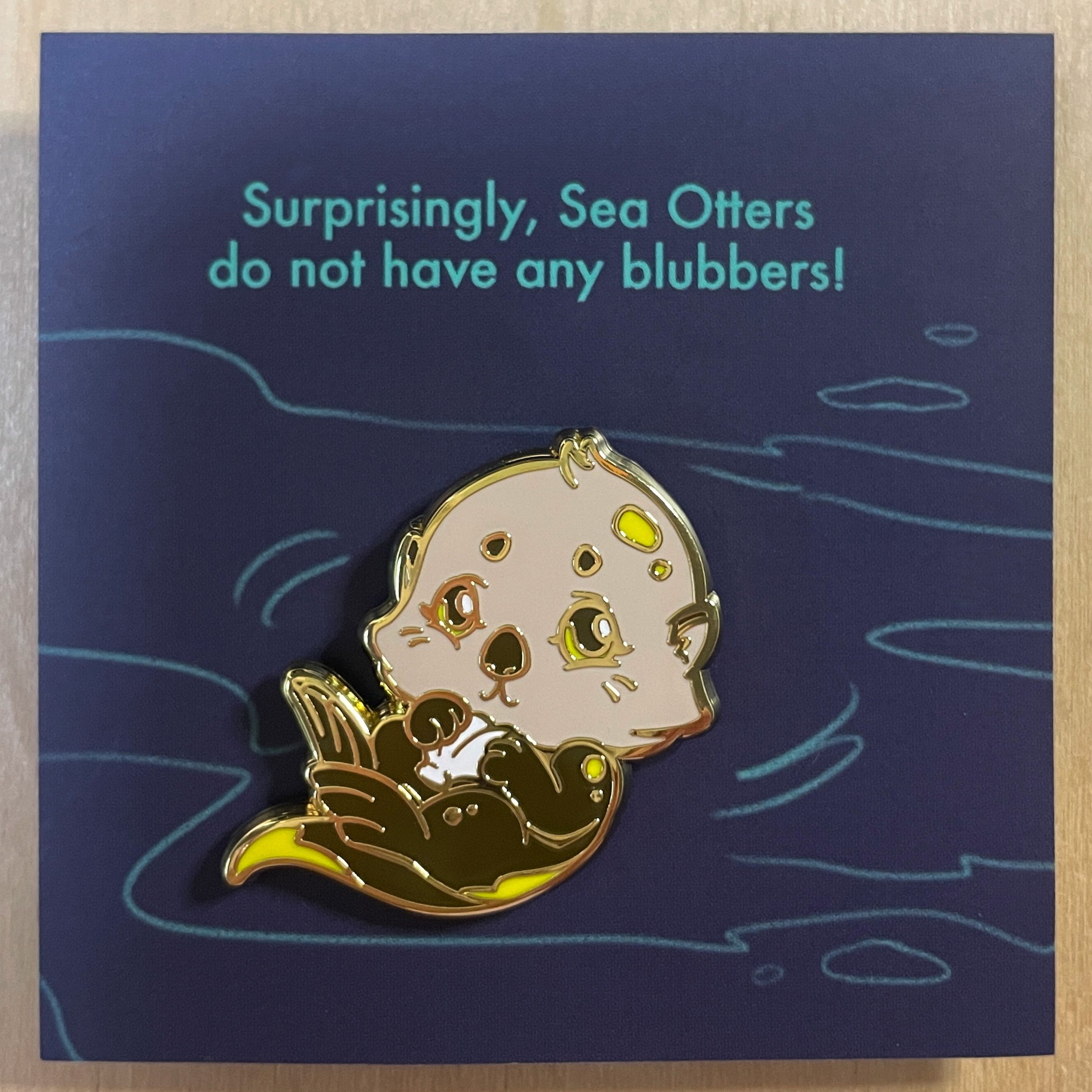 PA1012-SeaOtter-B.jpg