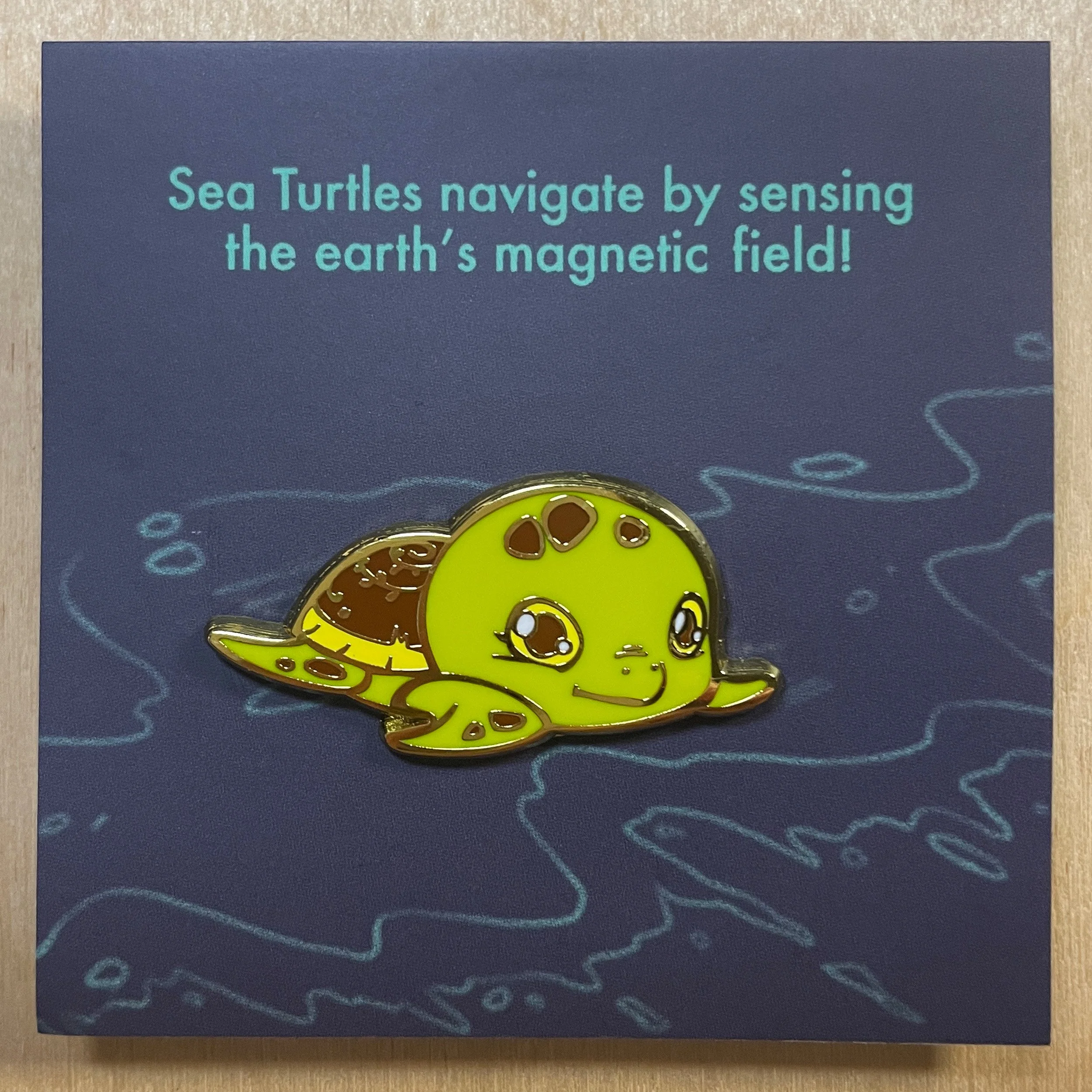 PA1011-SeaTurtle-B.jpg