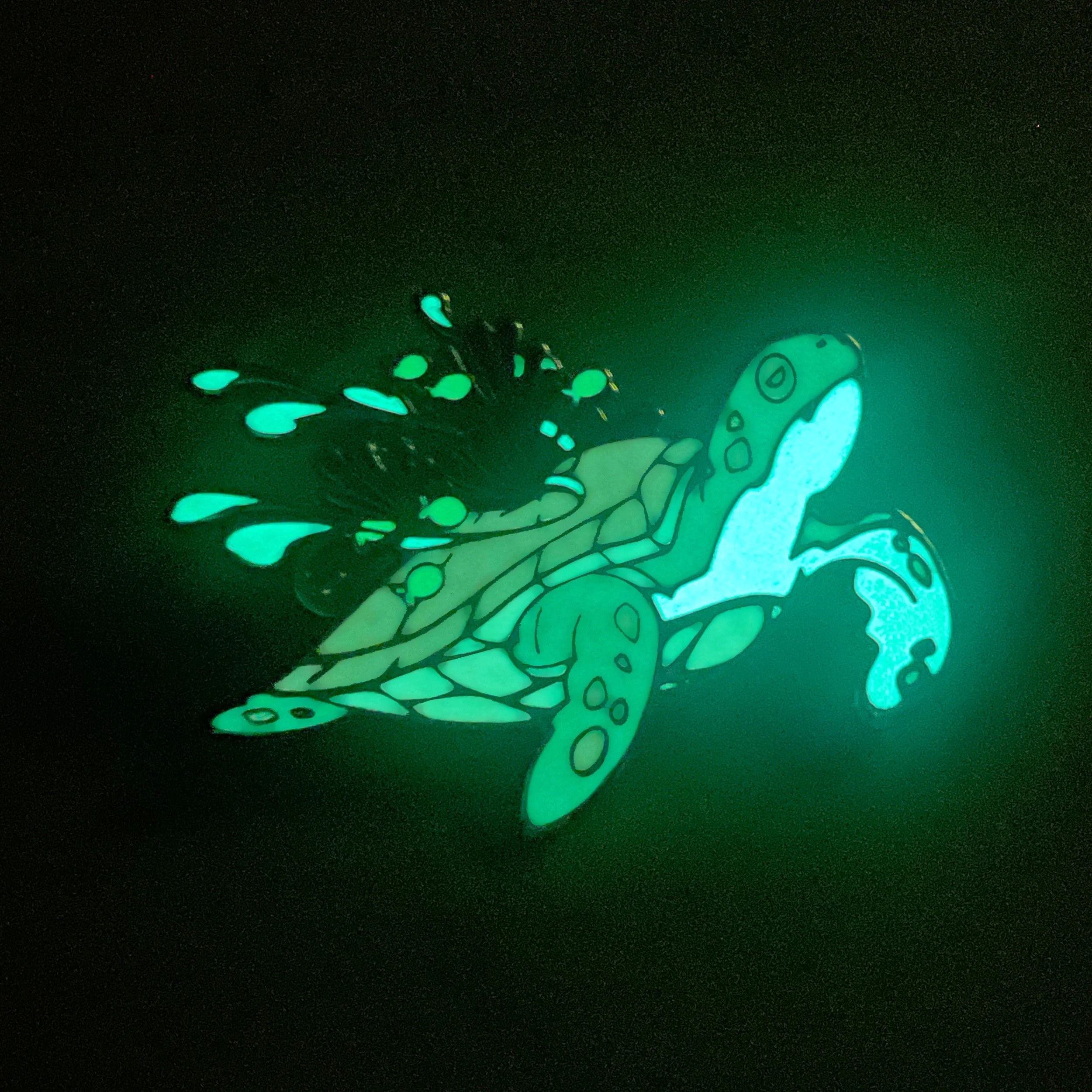 AS1005-SPSeaTurtle-C.jpg