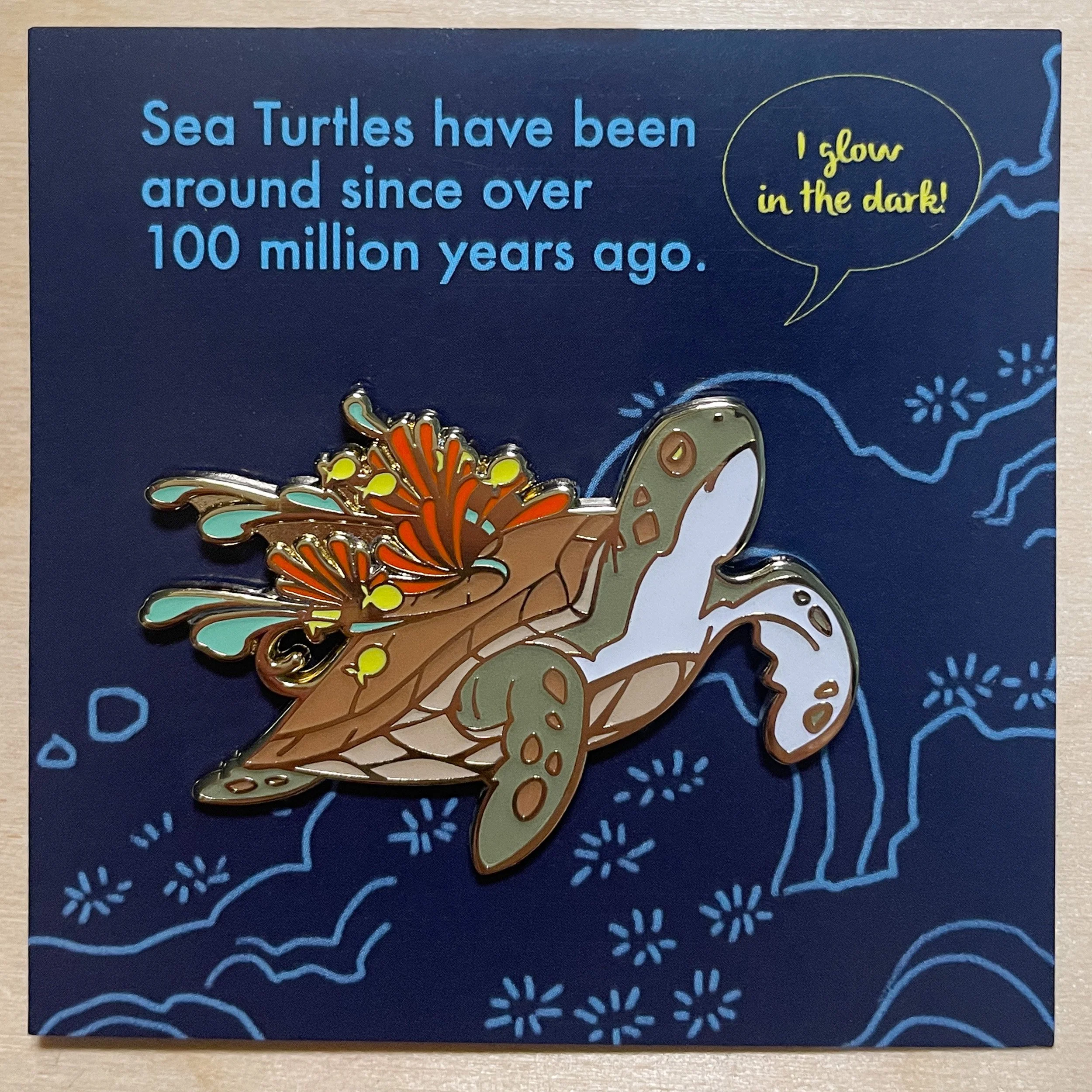 AS1005-SPSeaTurtle-D.jpg