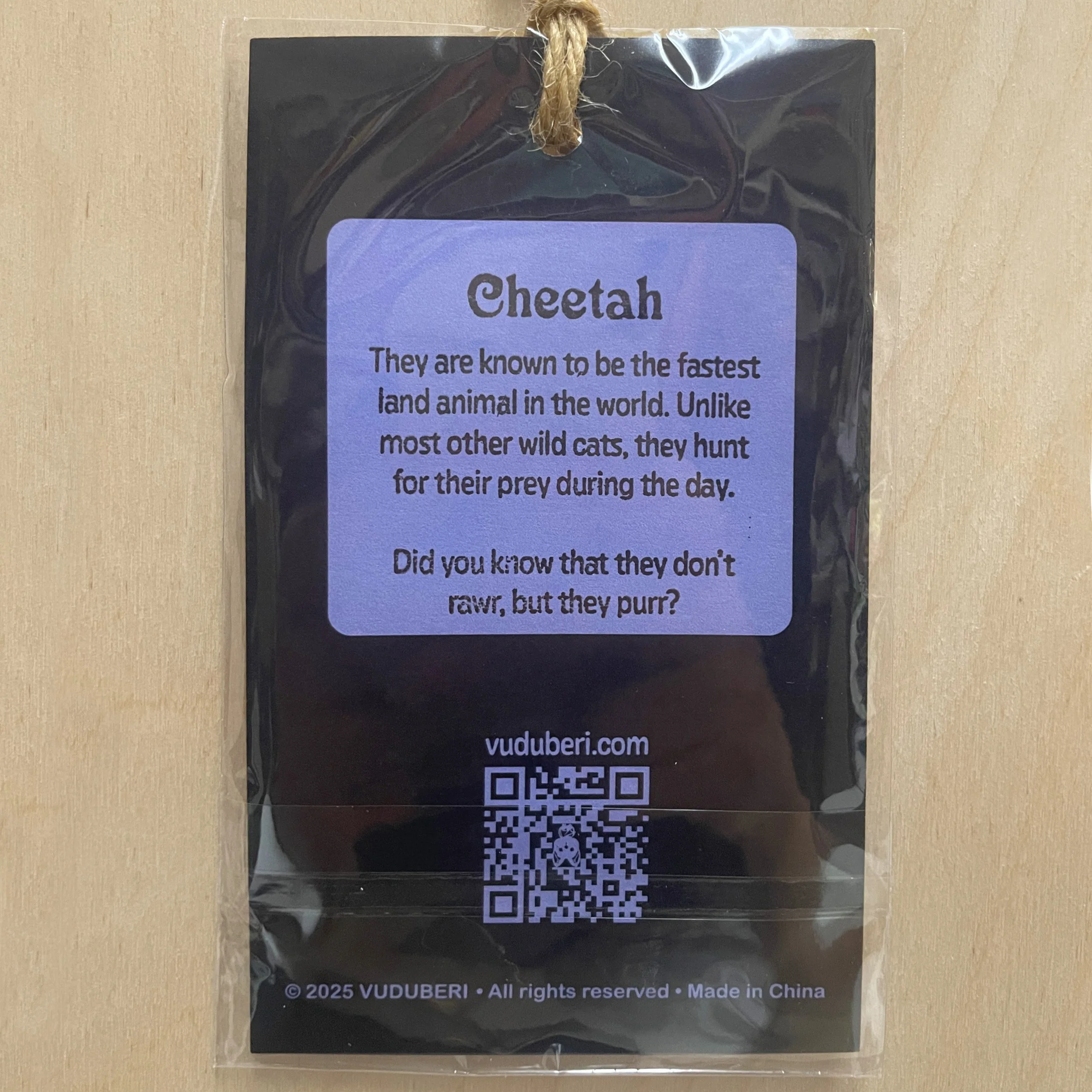KA1001-Cheetah-E.jpg