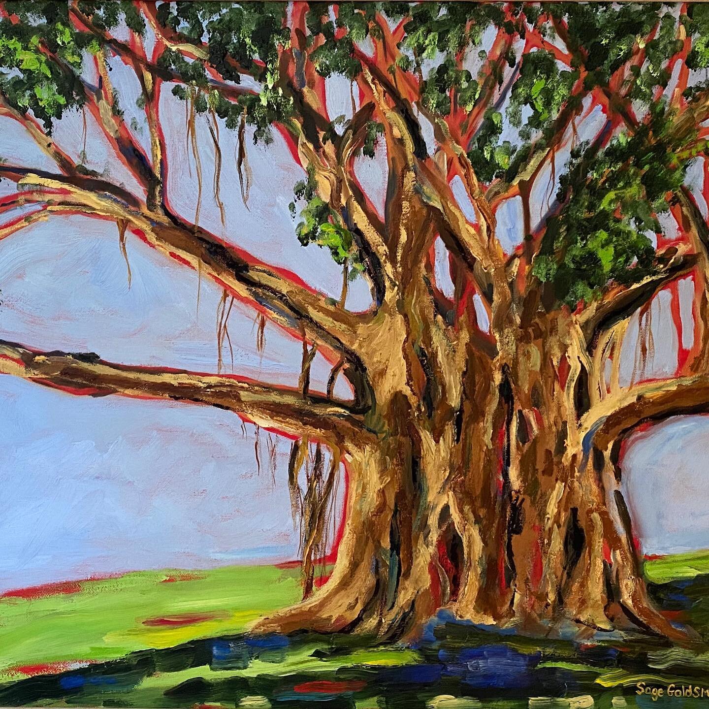 Visting an old friend 🎨#sagegoldsmithpaintings #oilpainting #tree #banyantree #florida #nature #create #canvas #art #artist #suportlocal #stayhome #paintinghelpsmysanity #roots