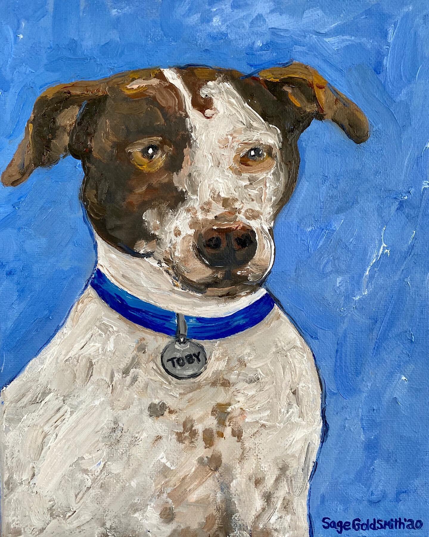 🎨Commission your very own pet portrait so you can always have your best friend by your side! 🎨🐶#sagegoldsmithpaintings #oilpainting #artistsoninstagram #artist #canvas #dog #dogsofinstagram #pet #petportrait #bestfriend #rescuedogsofinstagram #sup