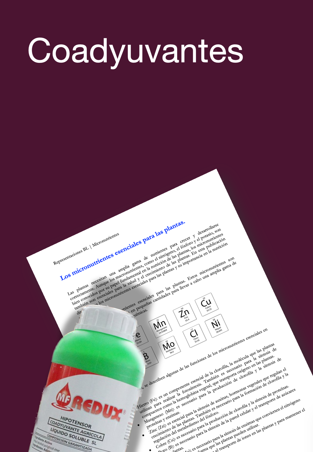 RBL Coadyuvantes.png